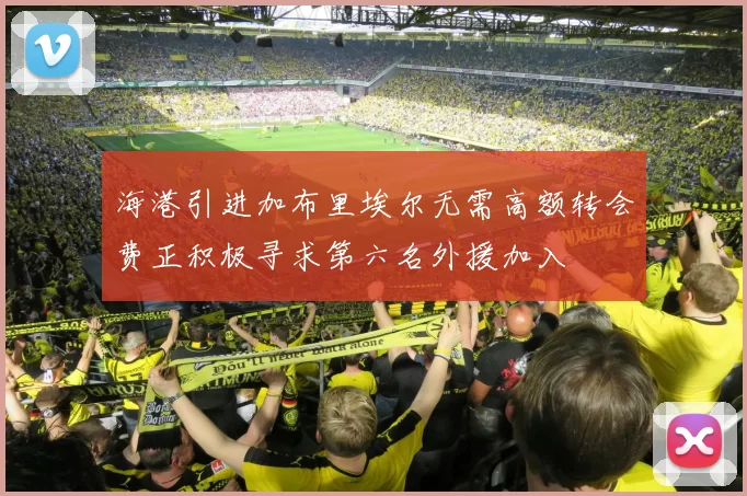 海港引进加布里埃尔无需高额转会费正积极寻求第六名外援加入