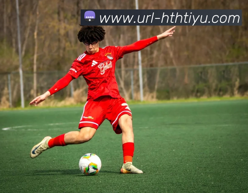 App Interface Preview